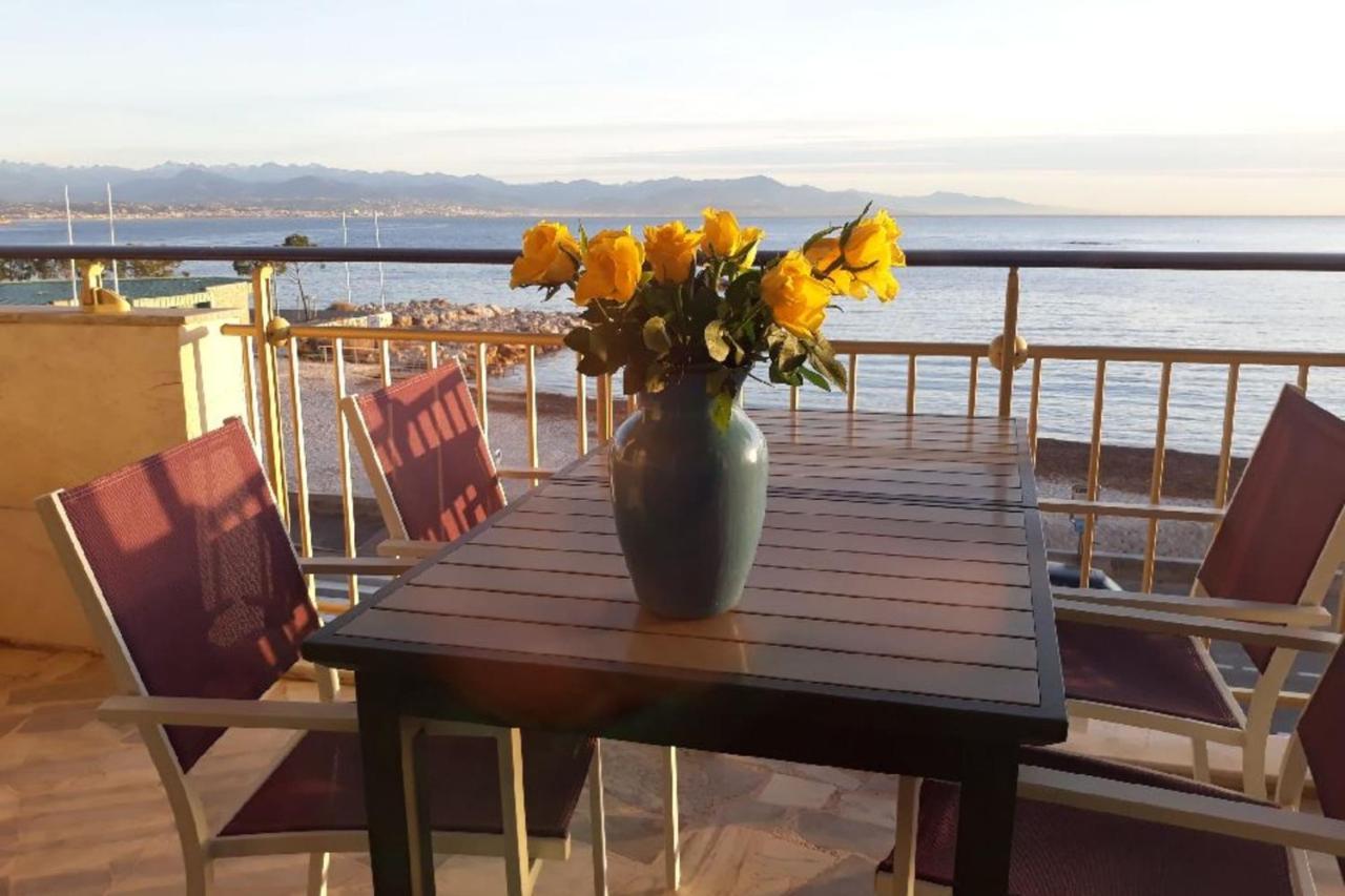 Seafront One Bedroom Apartment With A Terrasse Swimming Pool And A Parking 昂蒂布 外观 照片