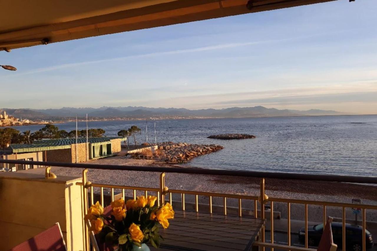 Seafront One Bedroom Apartment With A Terrasse Swimming Pool And A Parking 昂蒂布 外观 照片
